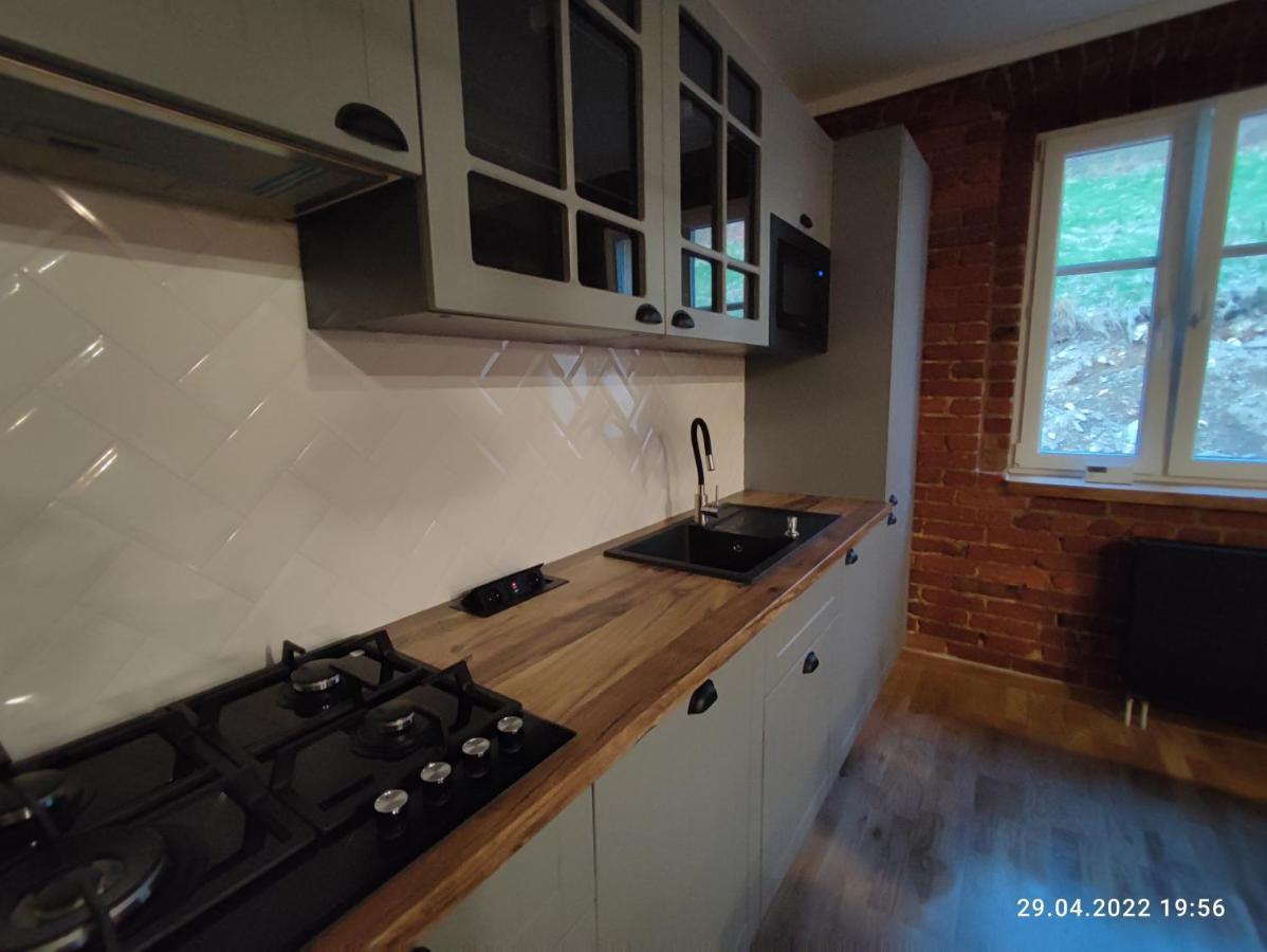 IZERSKA WERANDA - Górski Apartament 120m2 Świeradów-Zdrój Exterior foto